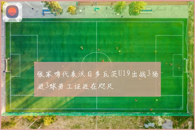 张家鸣代表沃日多瓦茨U19出战3场进3球劳工证近在咫尺