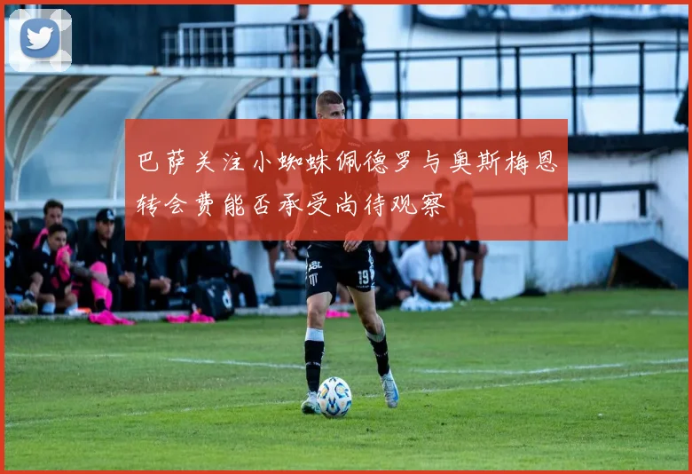 巴萨关注小蜘蛛佩德罗与奥斯梅恩转会费能否承受尚待观察