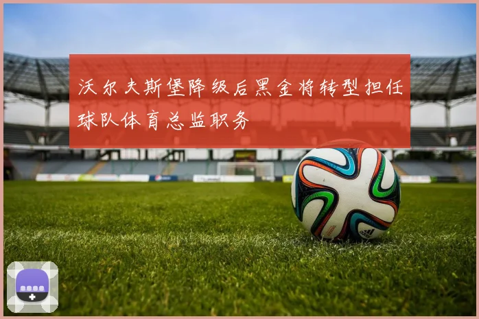 沃尔夫斯堡降级后黑金将转型担任球队体育总监职务